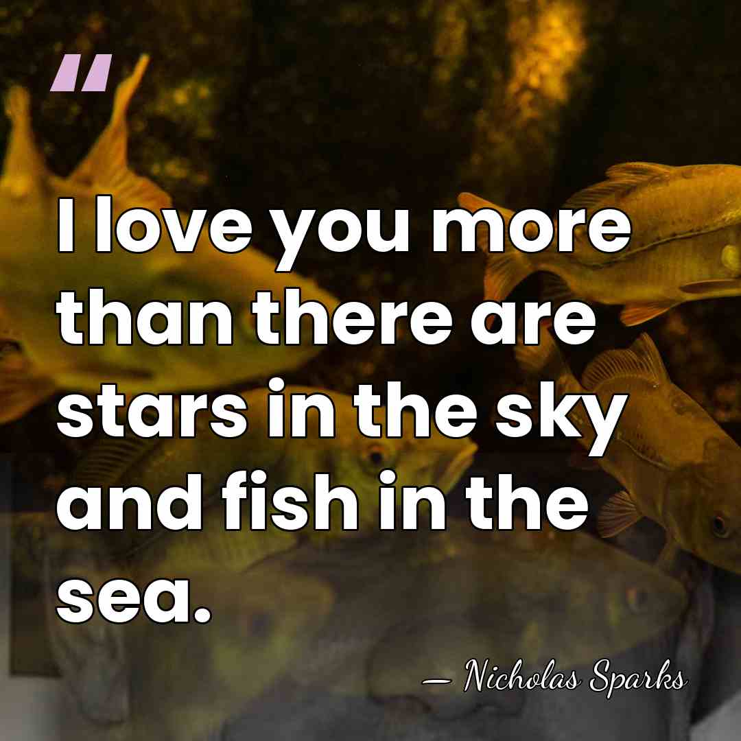 I love you more than there are stars in the sky and&hellip; - Nicholas Sparks