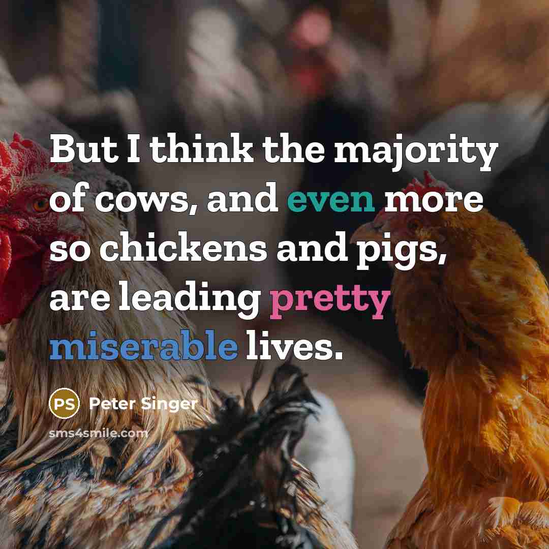 “But I think the majority of cows, and even more so chickens and pigs, are leading pretty miserable lives.” quote by Peter Singer