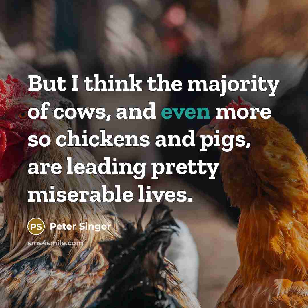 “But I think the majority of cows, and even more…” quote by Peter Singer