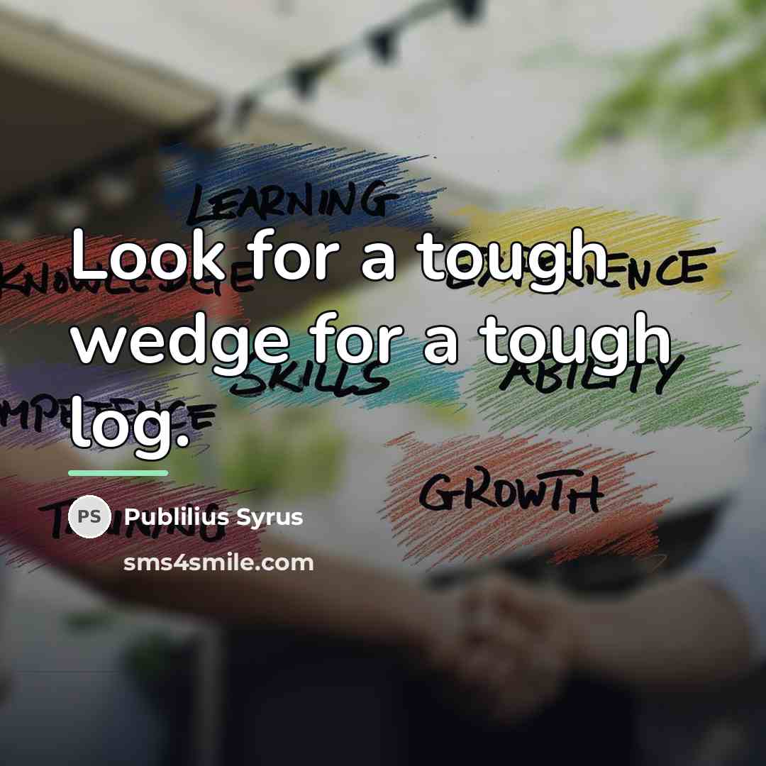 “Look for a tough wedge for a tough log.…” quote by Publilius Syrus