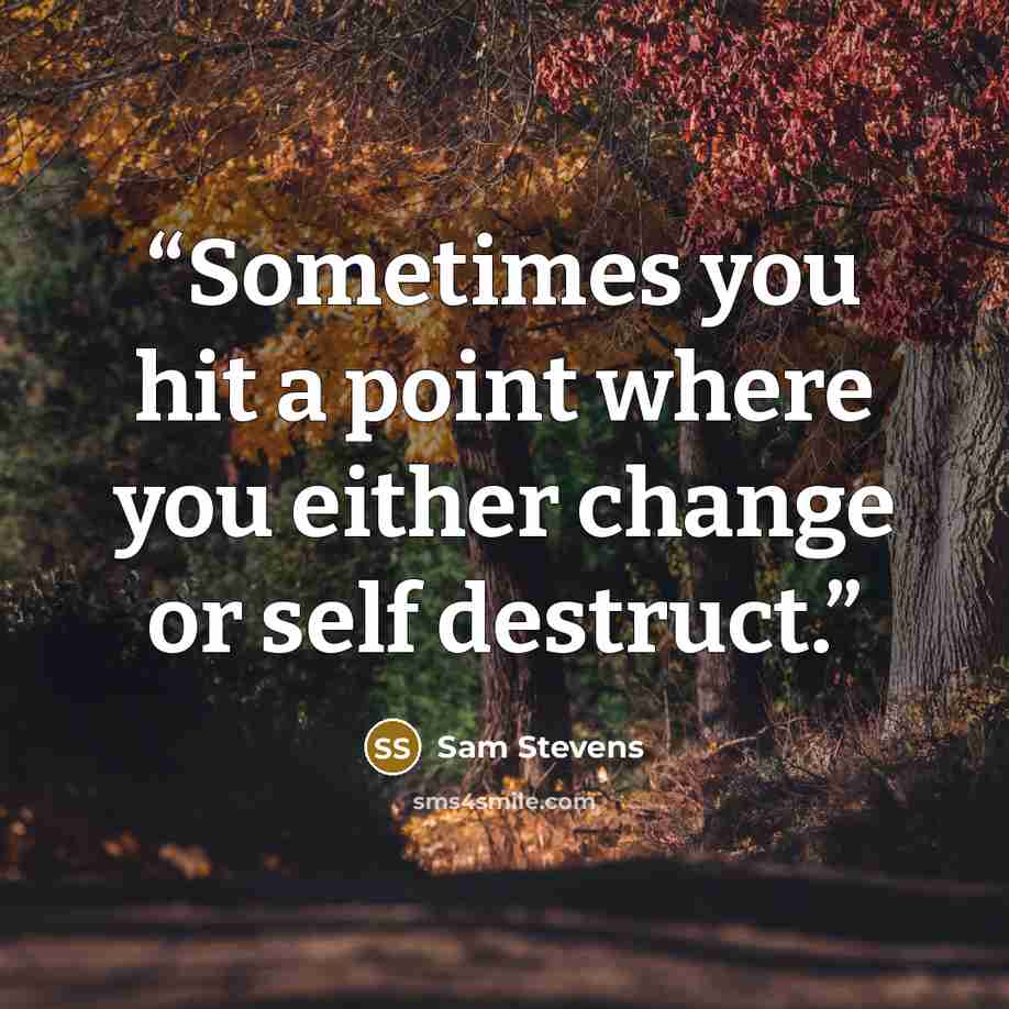 “Sometimes you hit a point where you either change or self destruct.” quote by Sam Stevens