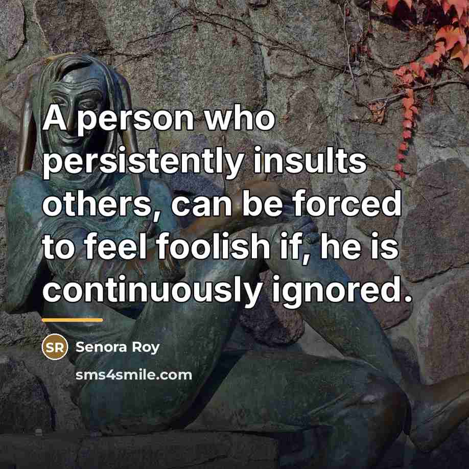 “A person who persistently insults others, can be forced to…” quote by Senora Roy