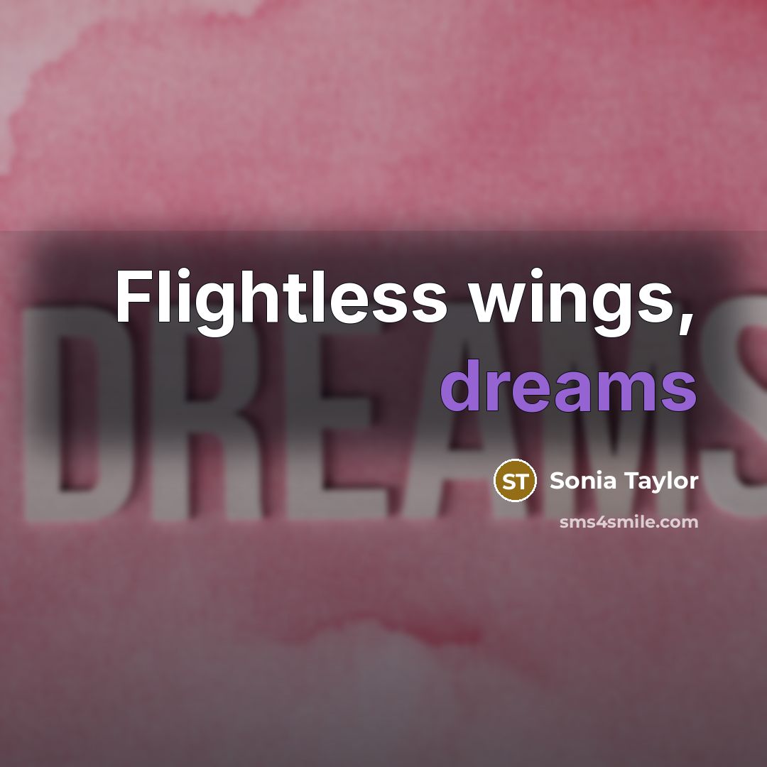 “Flightless wings, dreams…” quote by Sonia Taylor