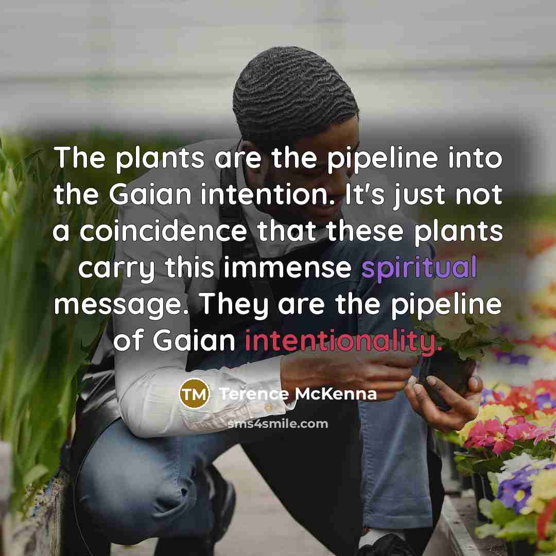 “The plants are the pipeline into the Gaian intention. It's…” quote by Terence McKenna