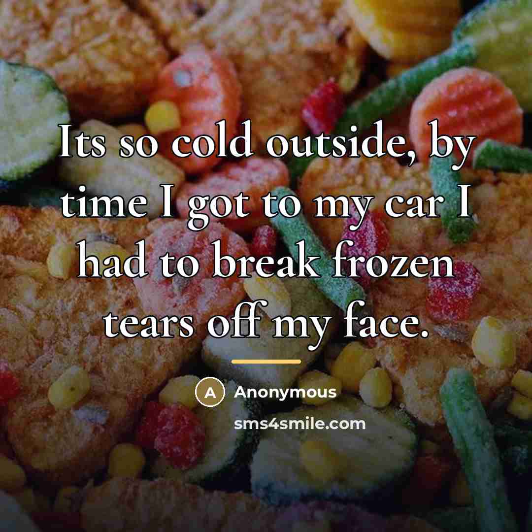 “Its so cold outside, by time I got to my…” quote by Anonymous