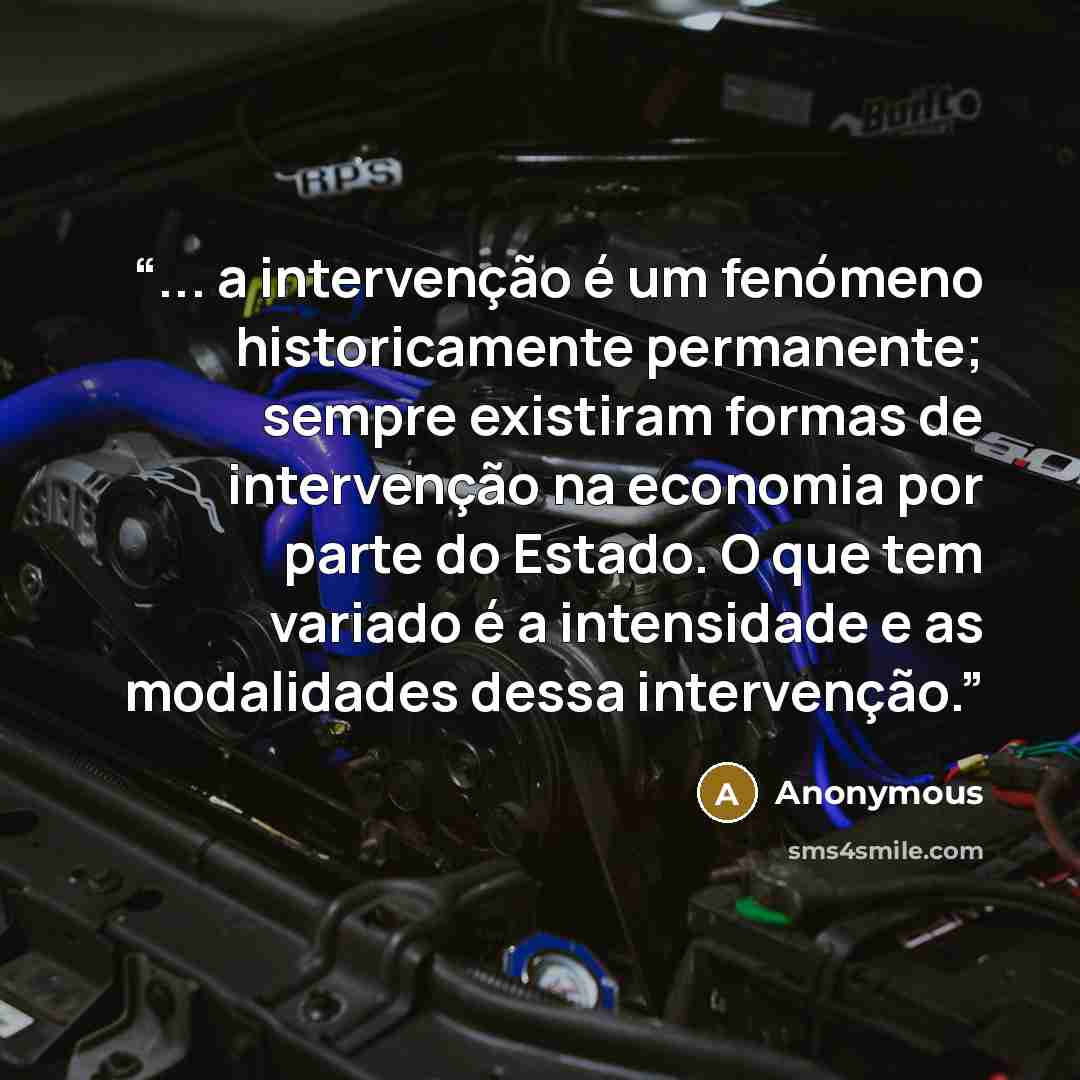 “... a intervenção é um fenómeno historicamente permanente; sempre existiram formas de intervenção na economia por parte do Estado. O que tem variado é a intensidade e as modalidades dessa intervenção.” quote by Anonymous
