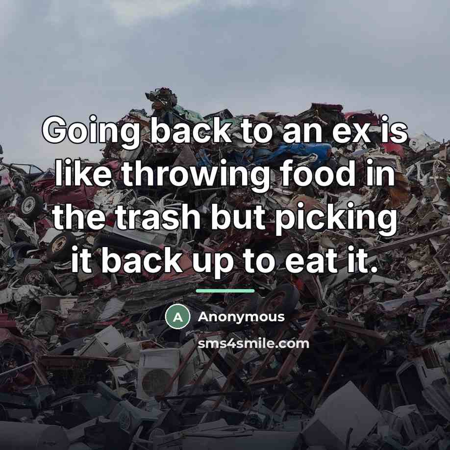 “Going back to an ex is like throwing food in…” quote by Anonymous