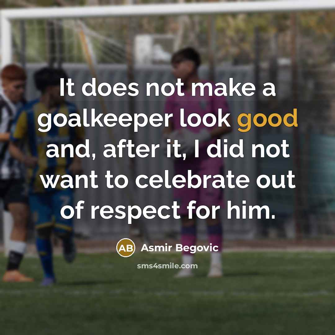 “It does not make a goalkeeper look good and, after…” quote by Asmir Begovic
