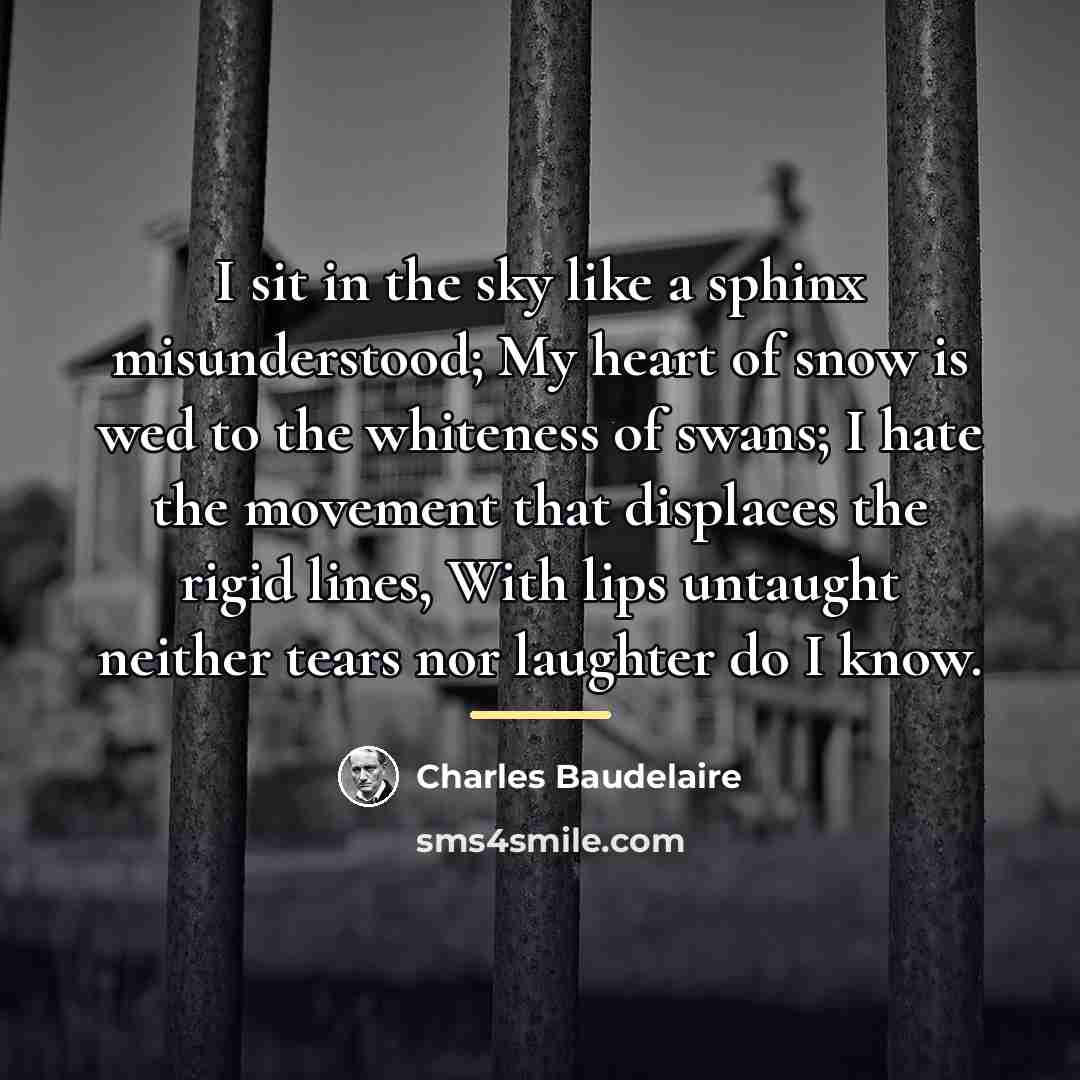 “I sit in the sky like a sphinx misunderstood; My…” quote by Charles Baudelaire