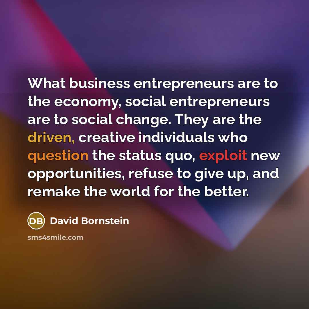 “What business entrepreneurs are to the economy, social entrepreneurs are…” quote by David Bornstein