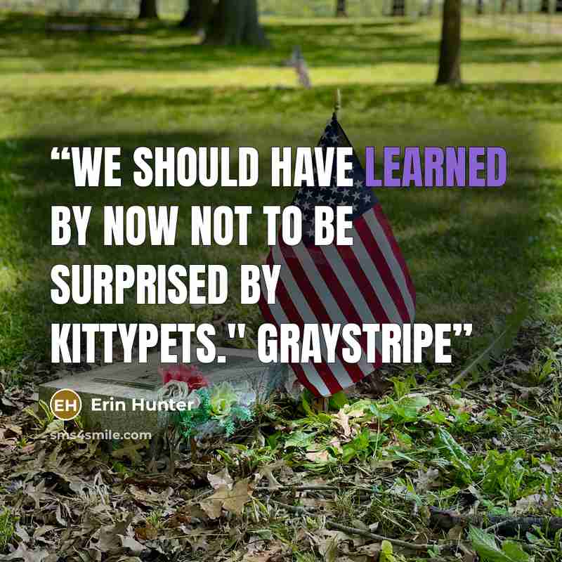 “We should have learned by now not to be surprised by kittypets." Graystripe” quote by Erin Hunter