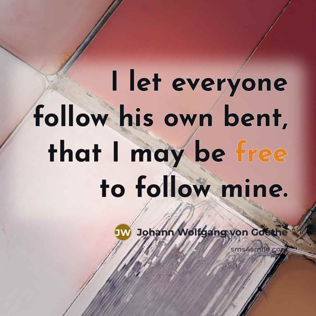 “I let everyone follow his own bent, that I may…” quote by Johann Wolfgang von Goethe