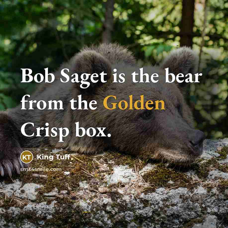 “Bob Saget is the bear from the Golden Crisp box.…” quote by King Tuff