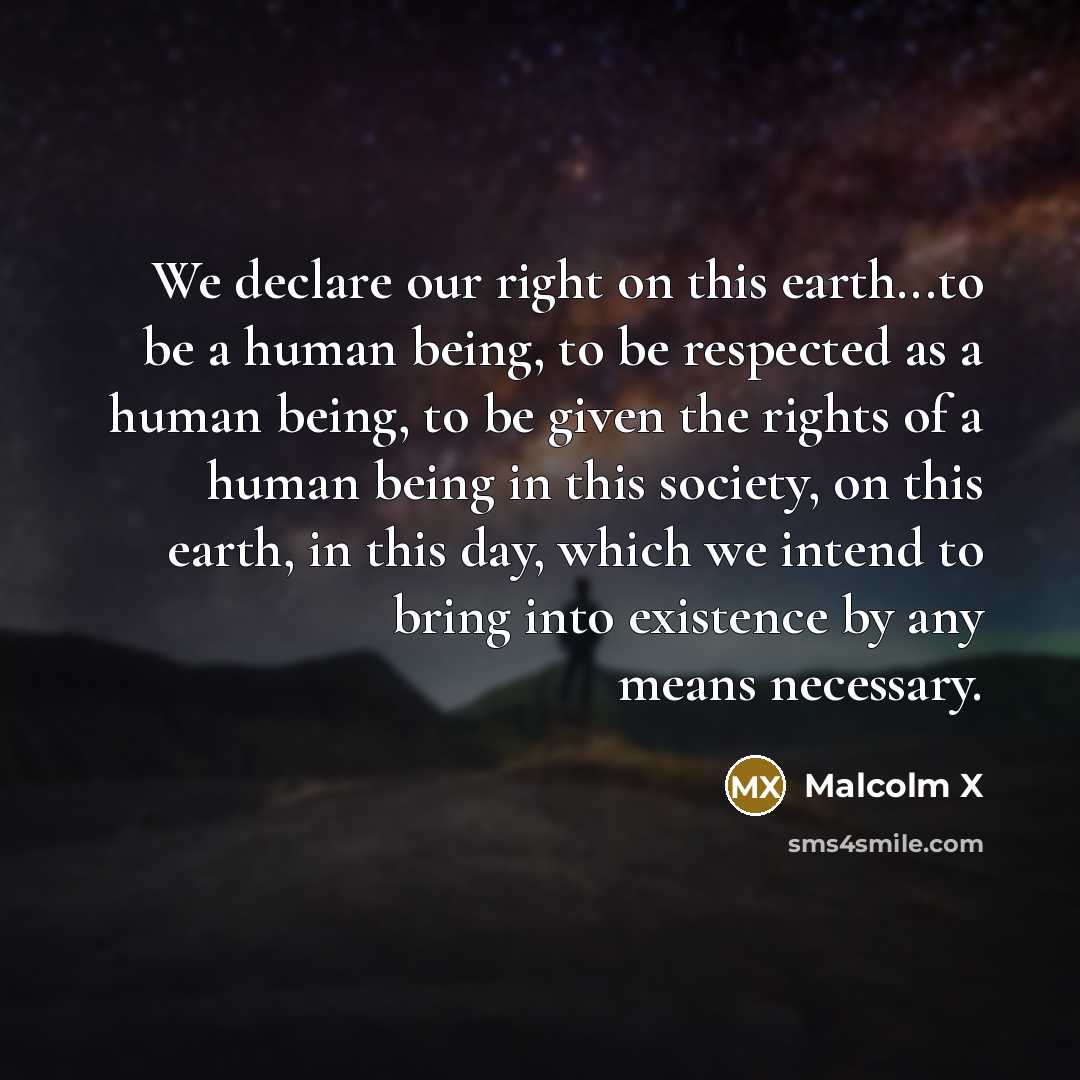 “We declare our right on this earth...to be a human…” quote by Malcolm X