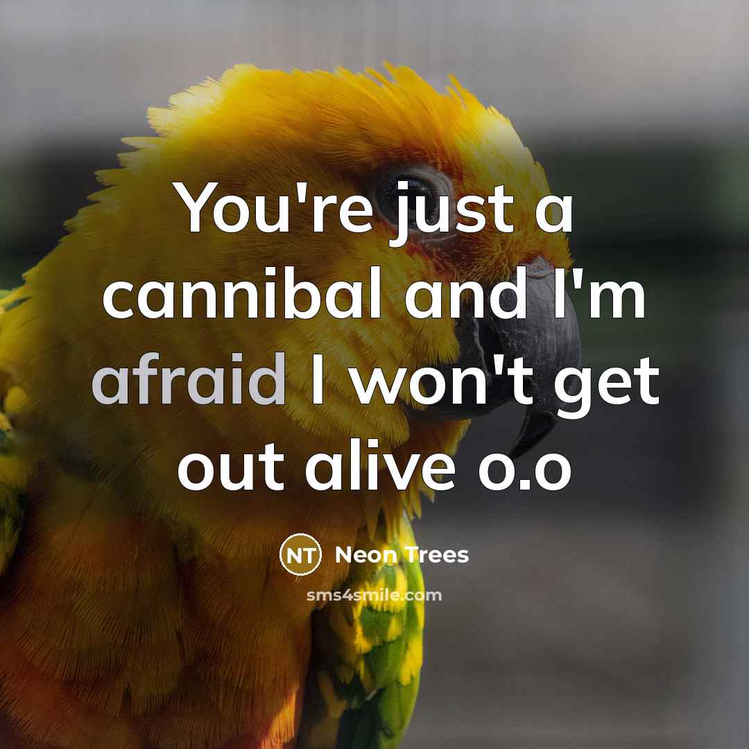 “You're just a cannibal and I'm afraid I won't get out alive o.o” quote by Neon Trees