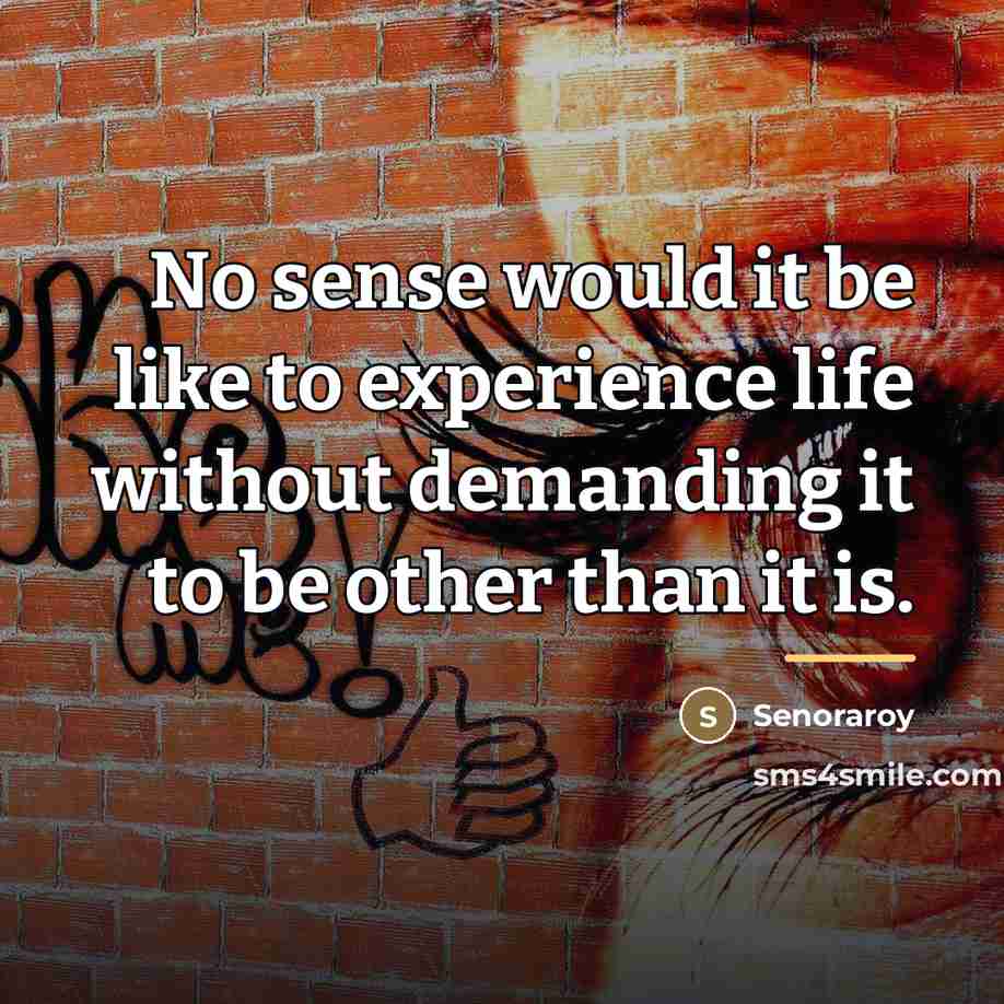 “No sense would it be like to experience life without…” quote by Senoraroy