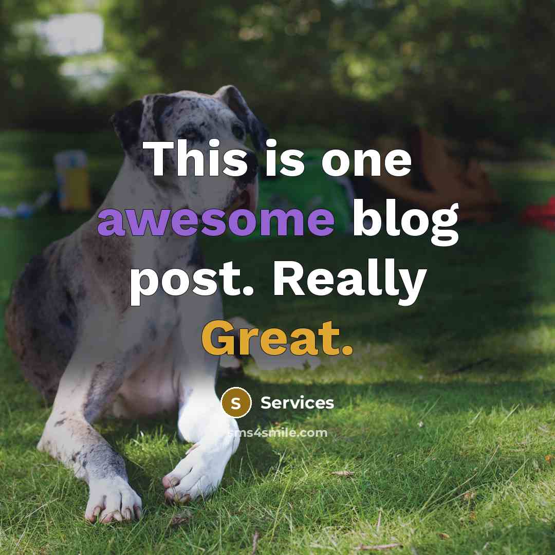 “This is one awesome blog post. Really Great.” quote by Services