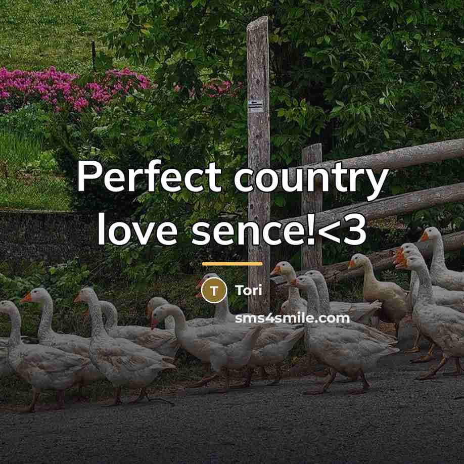 “Perfect country love sence!…” quote by Tori