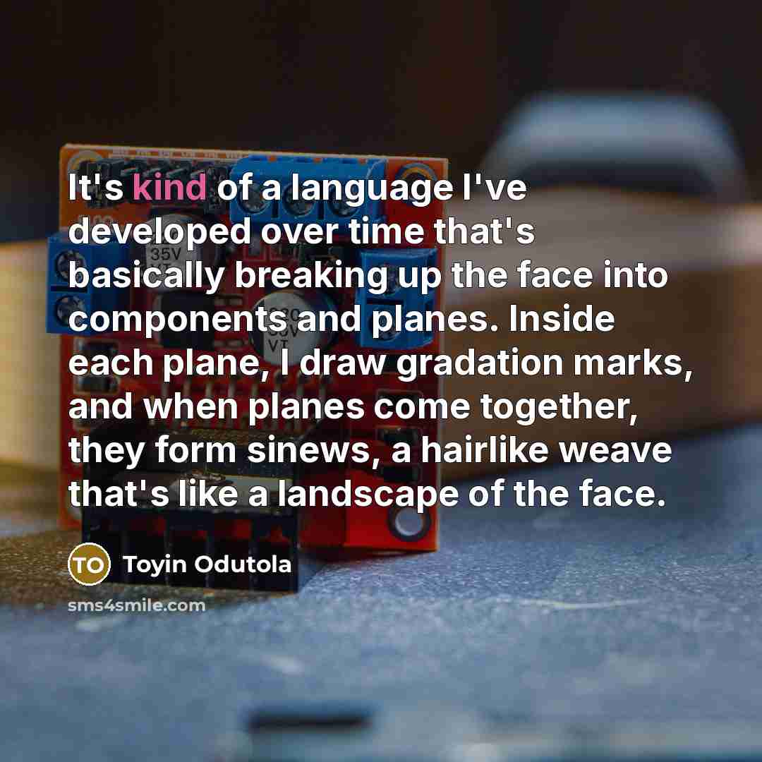 “It's kind of a language I've developed over time that's…” quote by Toyin Odutola