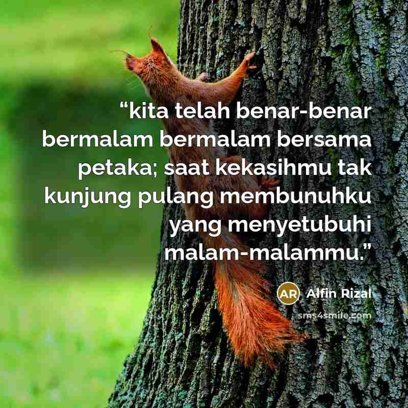 “kita telah benar-benar bermalam bermalam bersama petaka; saat kekasihmu tak kunjung pulang membunuhku yang menyetubuhi malam-malammu.” quote by Alfin Rizal