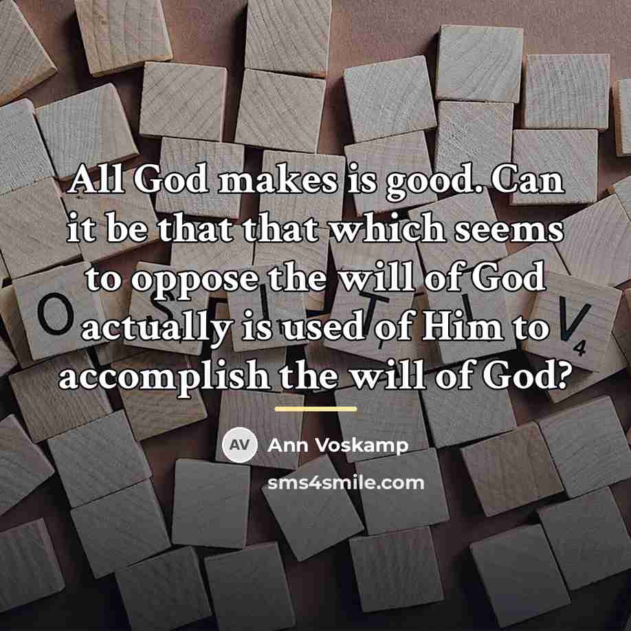 “All God makes is good. Can it be that that…” quote by Ann Voskamp