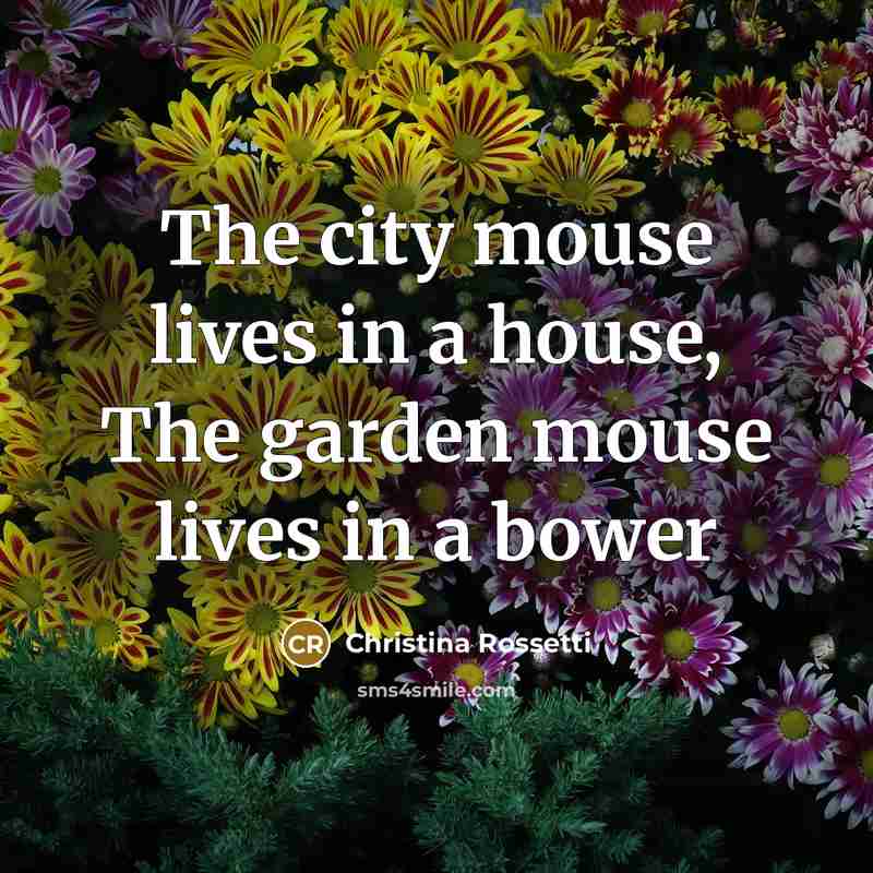 “The city mouse lives in a house, The garden mouse…” quote by Christina Rossetti
