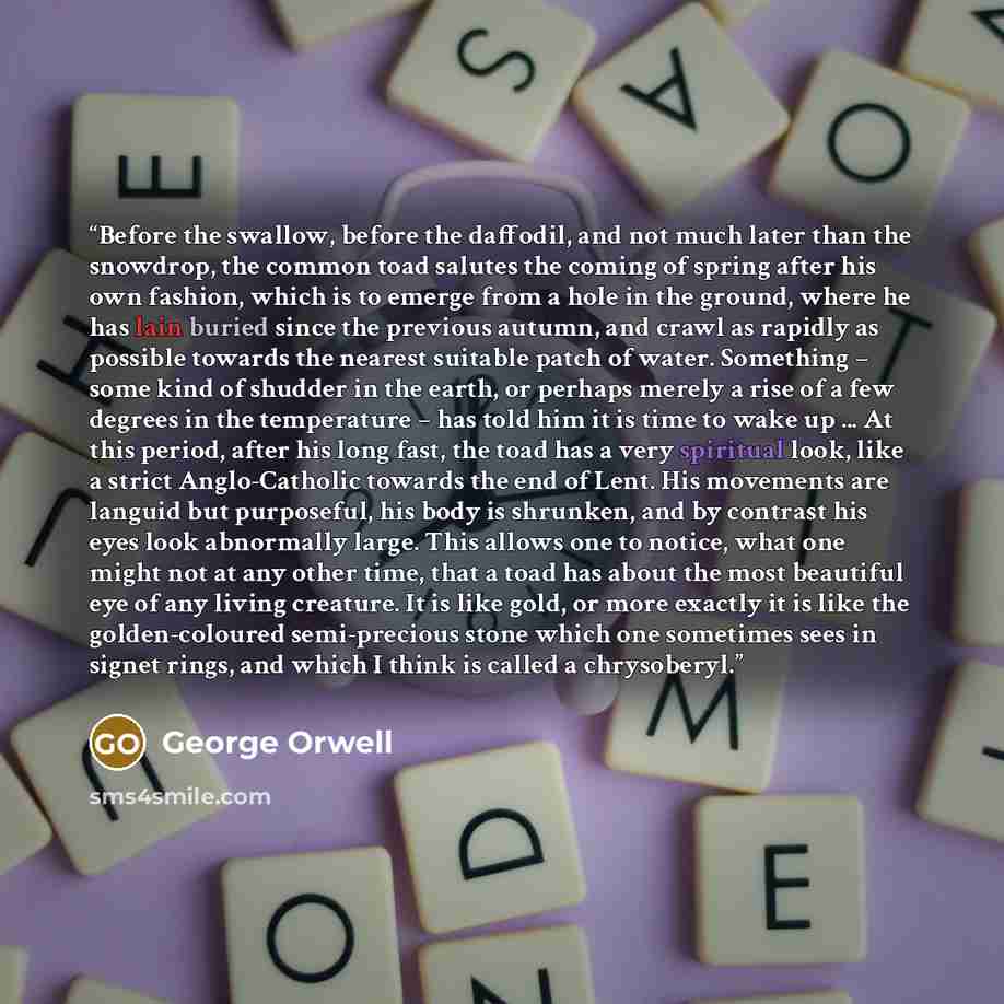 “Before the swallow, before the daffodil, and not much later than the snowdrop, the common toad salutes the coming of spring after his own fashion, which is to emerge from a hole in the ground, where he has lain buried since the previous autumn, and crawl as rapidly as possible towards the nearest…” quote by George Orwell