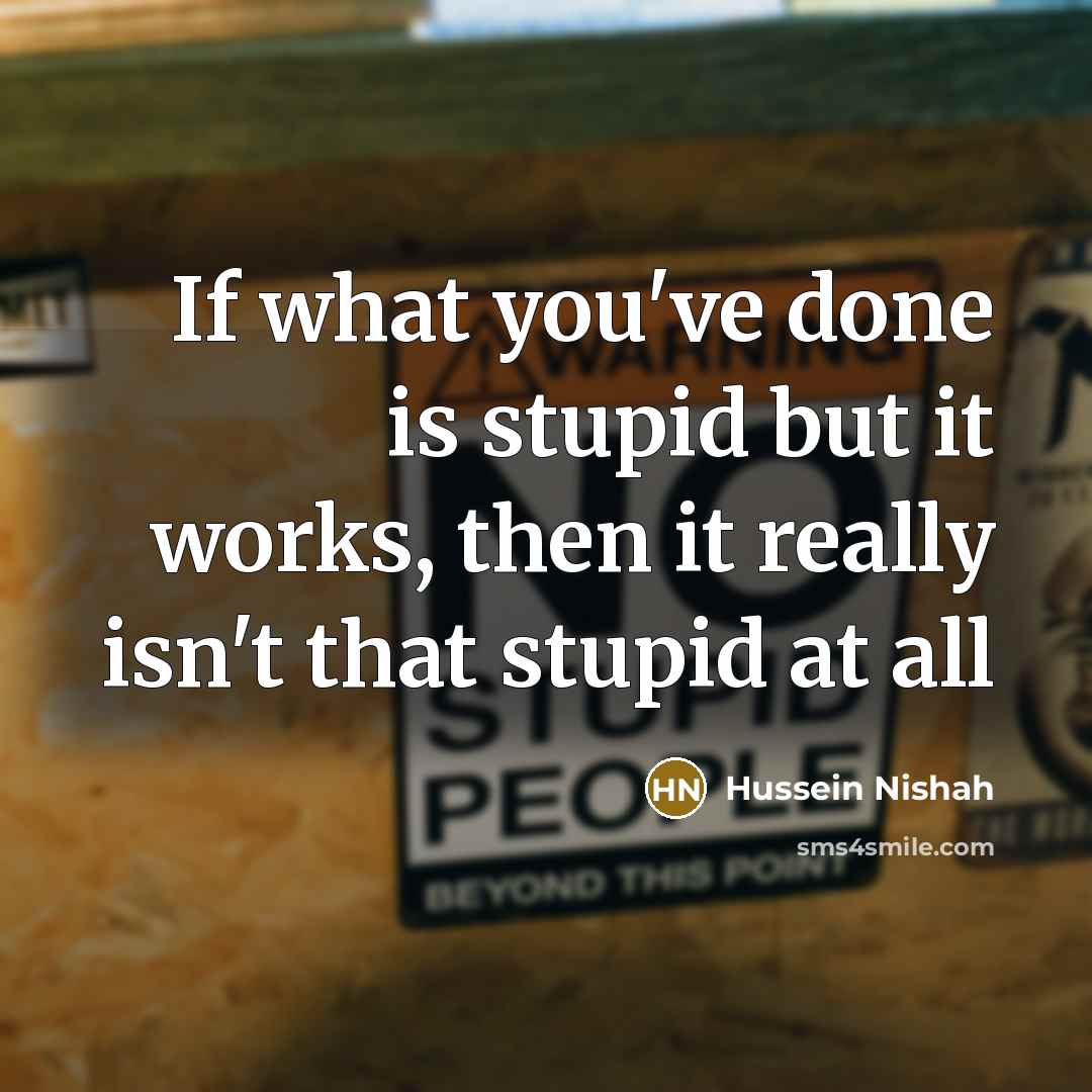 “If what you've done is stupid but it works, then…” quote by Hussein Nishah