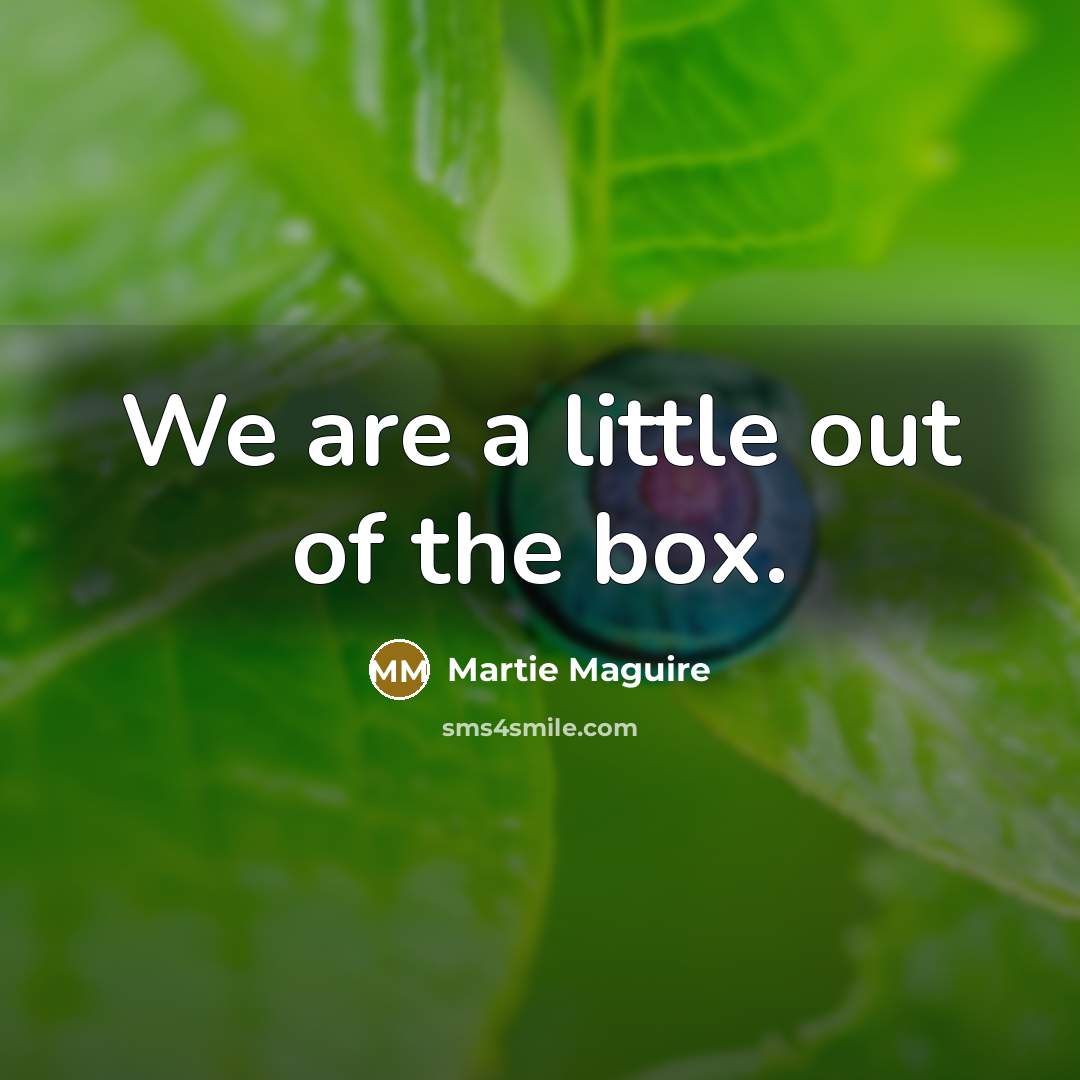 “We are a little out of the box.…” quote by Martie Maguire
