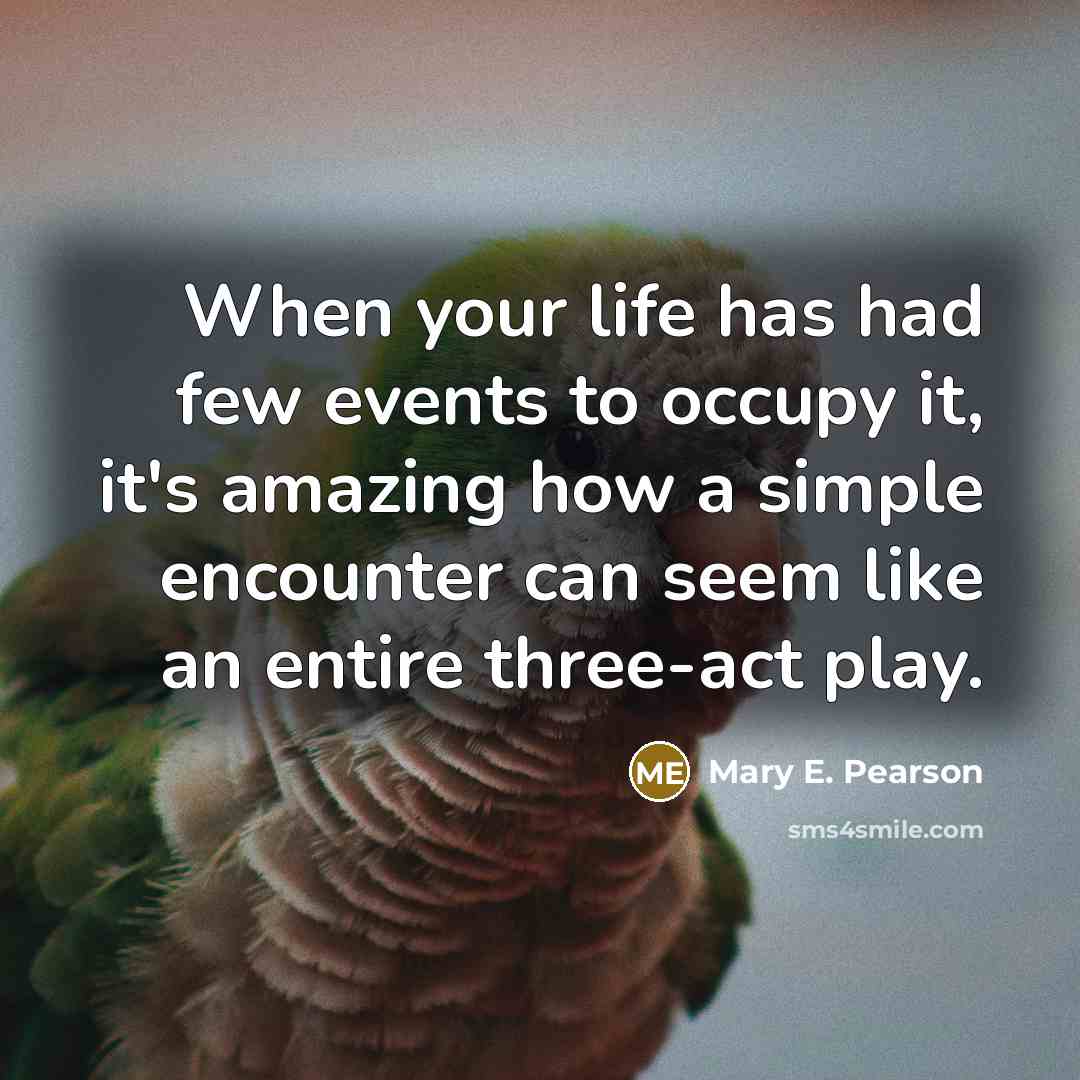 “When your life has had few events to occupy it,…” quote by Mary E. Pearson