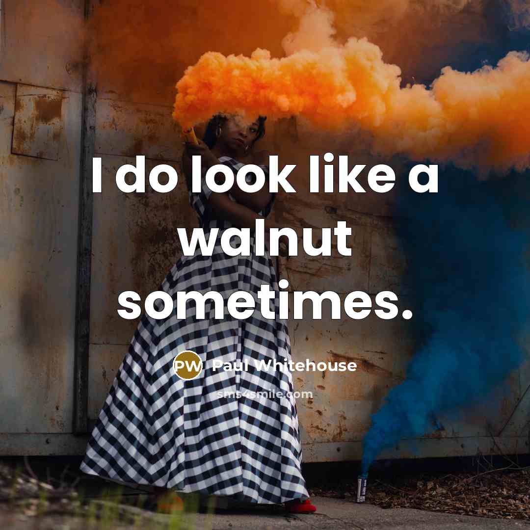 “I do look like a walnut sometimes.” quote by Paul Whitehouse
