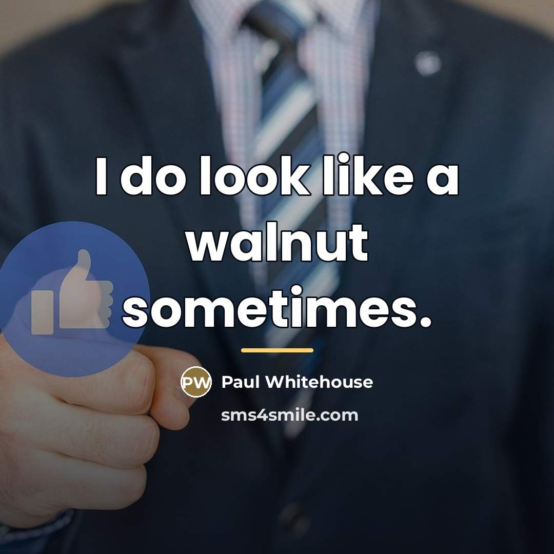 “I do look like a walnut sometimes.…” quote by Paul Whitehouse
