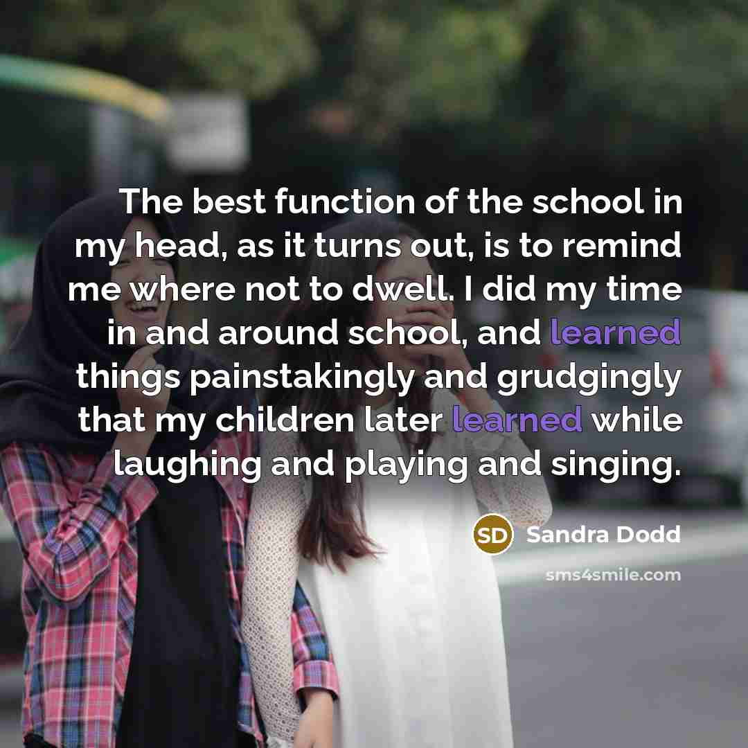 “The best function of the school in my head, as…” quote by Sandra Dodd