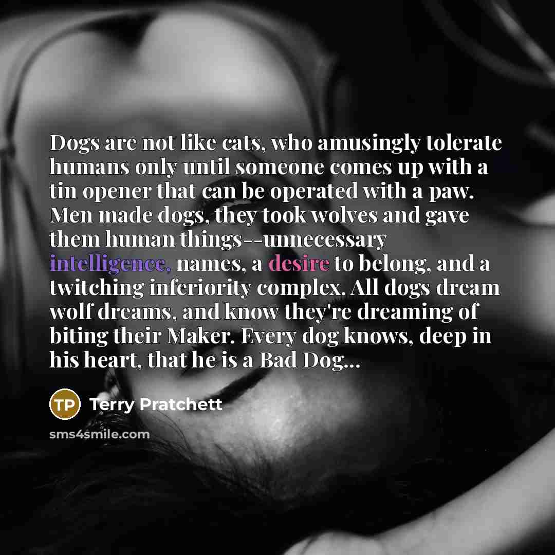 “Dogs are not like cats, who amusingly tolerate humans only…” quote by Terry Pratchett