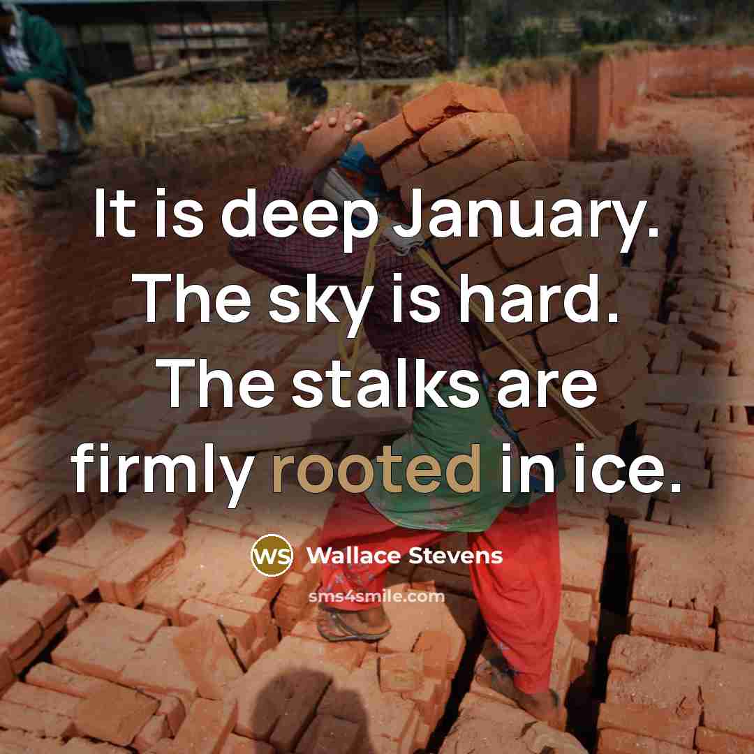 “It is deep January. The sky is hard. The stalks…” quote by Wallace Stevens