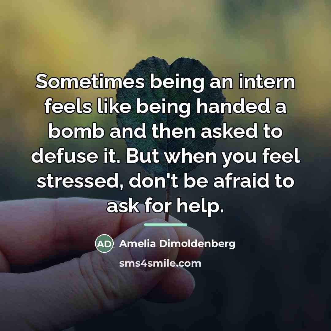 “Sometimes being an intern feels like being handed a bomb…” quote by Amelia Dimoldenberg