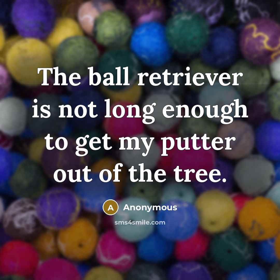 “The ball retriever is not long enough to get my…” quote by Anonymous