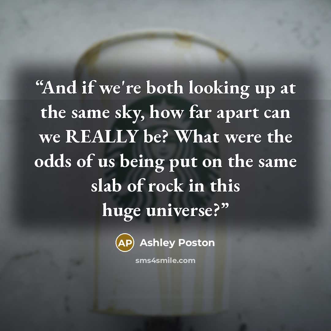 “And if we're both looking up at the same sky, how far apart can we REALLY be? What were the odds of us being put on the same slab of rock in this huge universe?” quote by Ashley Poston