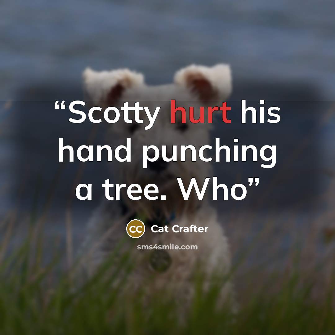 “​Scotty hurt his hand punching a tree. Who” quote by Cat Crafter