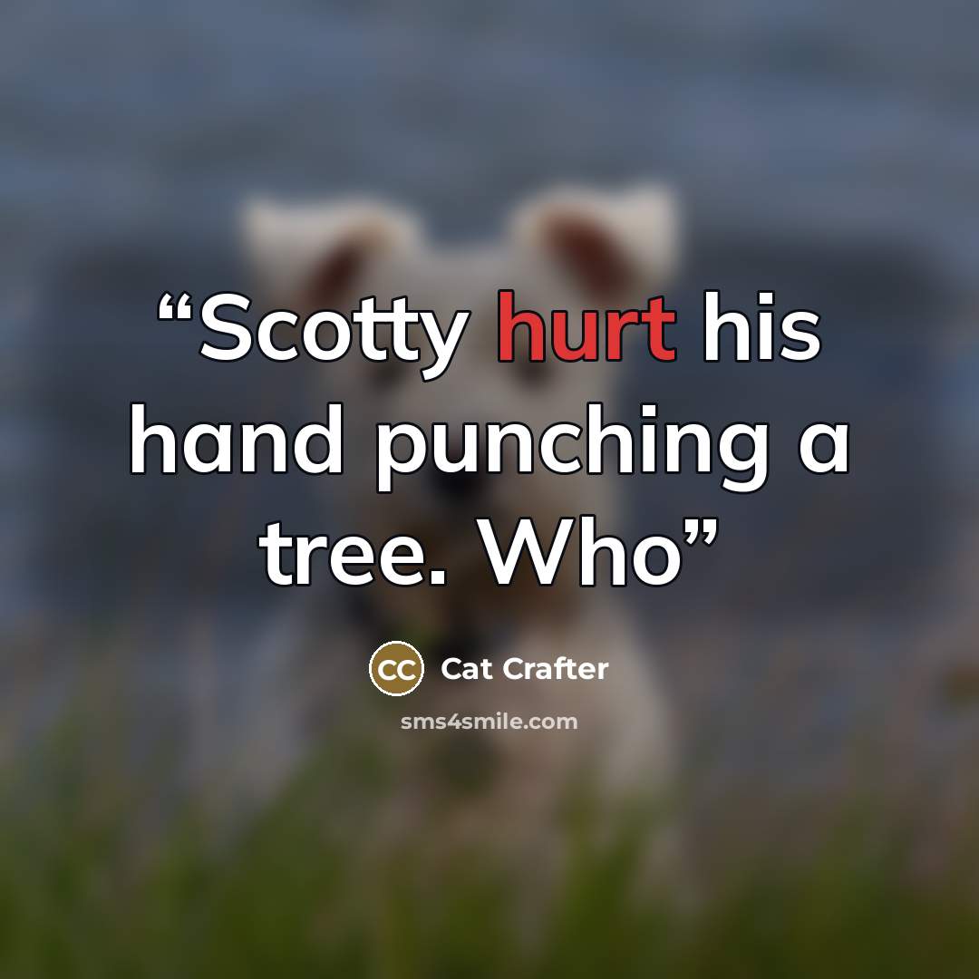 “​Scotty hurt his hand punching a tree. Who” quote by Cat Crafter