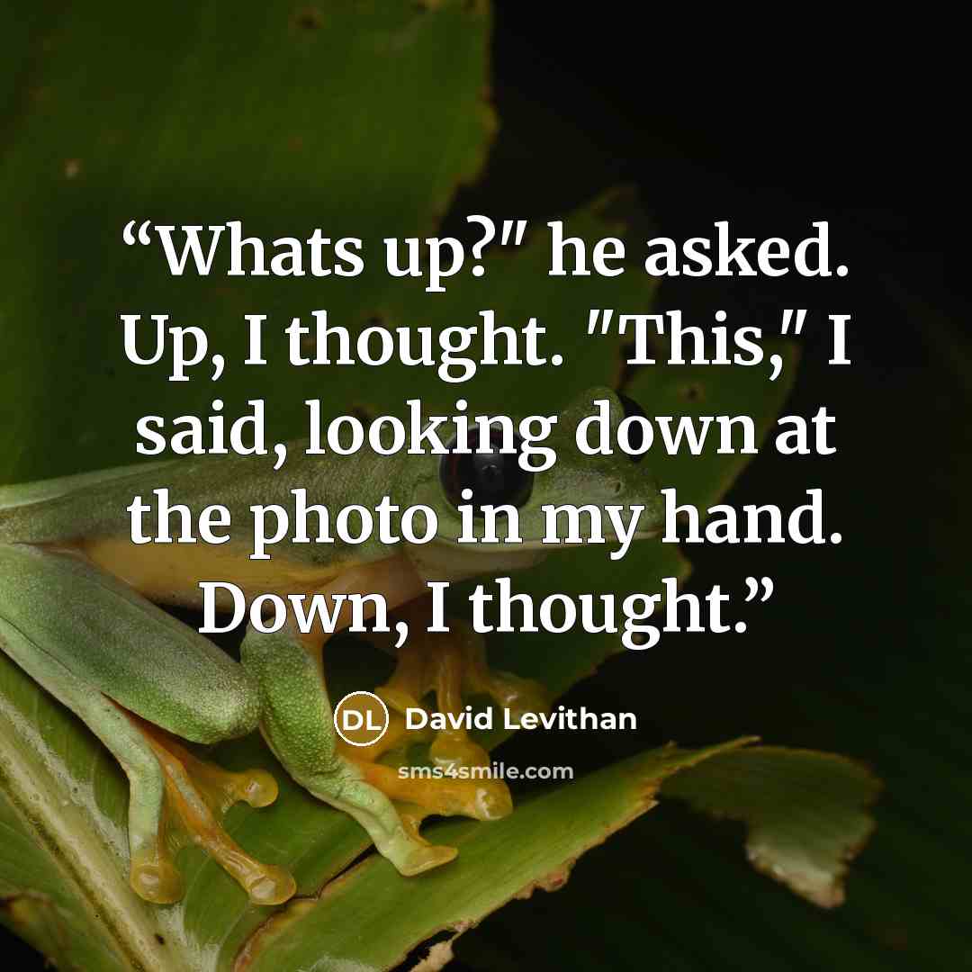 “Whats up?" he asked. Up, I thought. "This," I said, looking down at the photo in my hand. Down, I thought.” quote by David Levithan