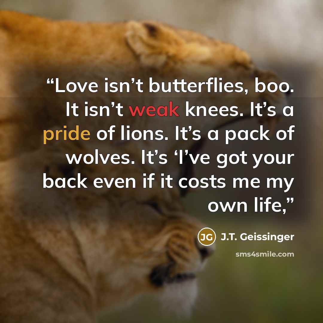 “Love isn’t butterflies, boo. It isn’t weak knees. It’s a pride of lions. It’s a pack of wolves. It’s ‘I’ve got your back even if it costs me my own life,” quote by J.T. Geissinger