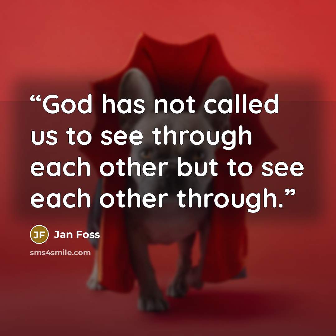 “God has not called us to see through each other but to see each other through.” quote by Jan Foss