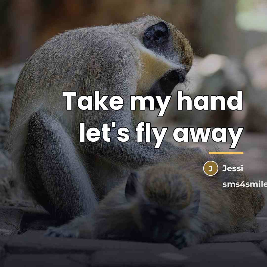 “Take my hand let's fly away…” quote by Jessi