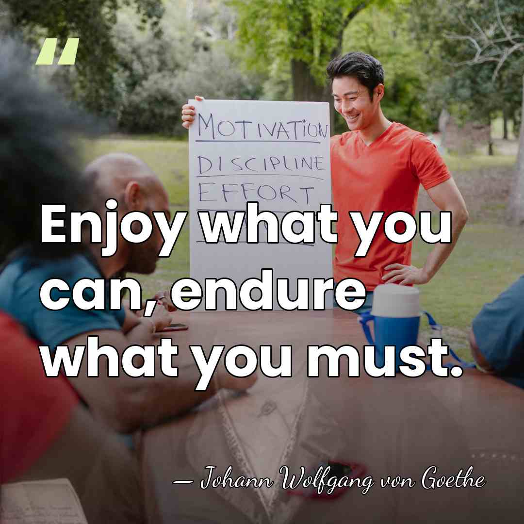 Enjoy what you can, endure what you must. - Johann Wolfgang von Goethe