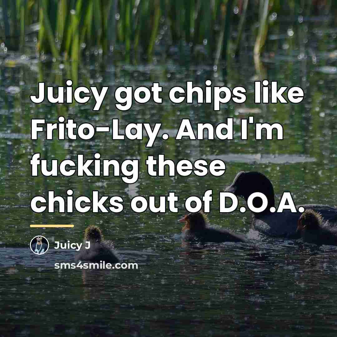 “Juicy got chips like Frito-Lay. And I'm fucking these chicks…” quote by Juicy J