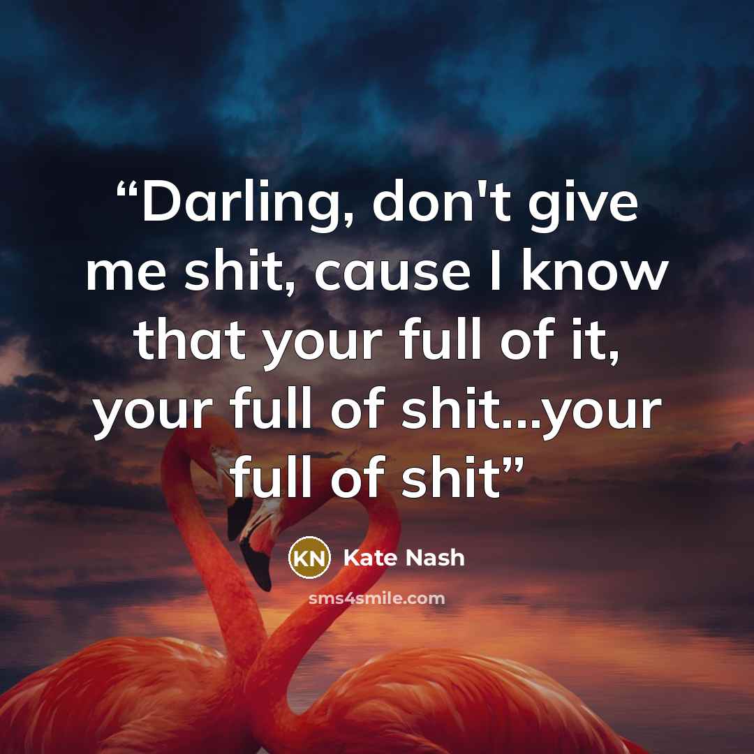 “Darling, don't give me shit, cause I know that your full of it, your full of shit...your full of shit” quote by Kate Nash