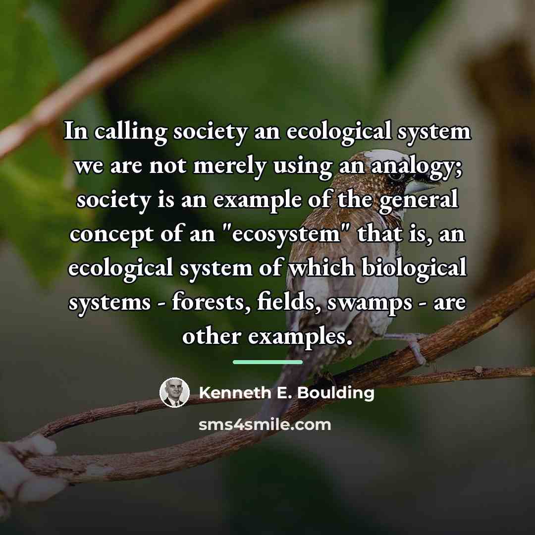 “In calling society an ecological system we are not merely…” quote by Kenneth E. Boulding