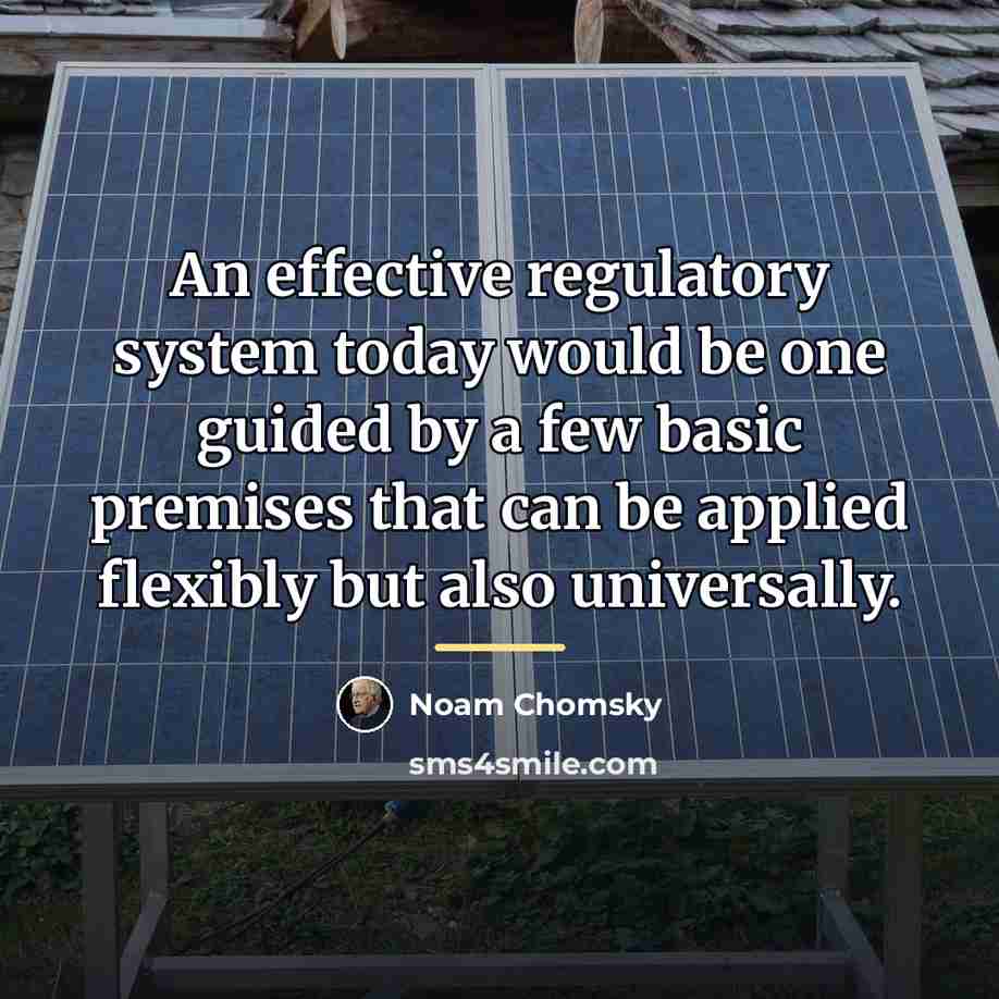 “An effective regulatory system today would be one guided by…” quote by Noam Chomsky