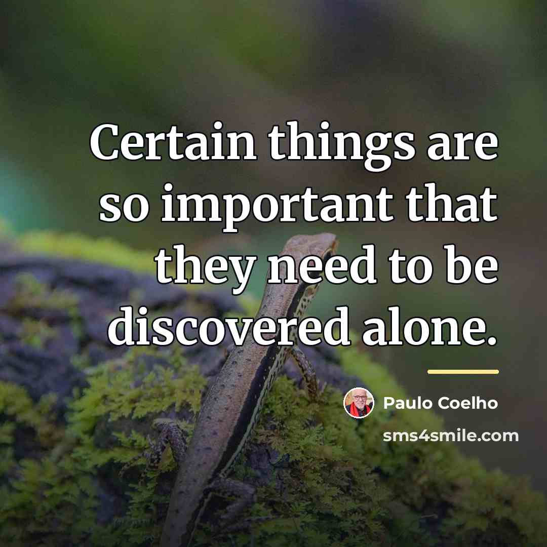 “Certain things are so important that they need to be…” quote by Paulo Coelho